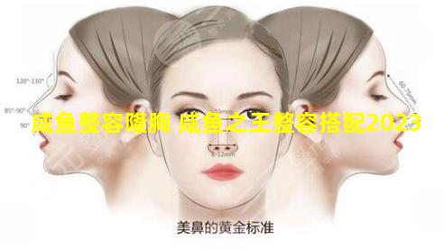 咸鱼整容隆胸 咸鱼之王整容搭配2023